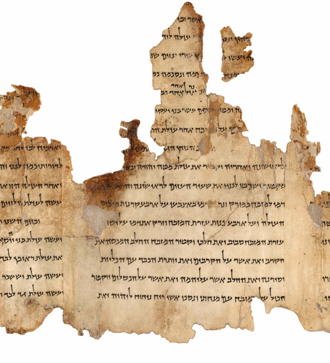 Los Rollos del Mar Muerto, hallados en Qumrán en 1947, contienen fragmentos de todos los libros del Antiguo Testamento, excepto el Libro de Ester, algunos de estos manuscritos datan del siglo III a. C.
